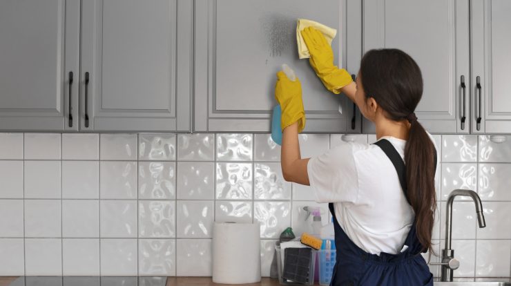 professional cleaner cleaning kitchen and bathroom surfaces in a home