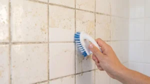 Detailed kitchen and bathroom cleaning in a New Jersey home