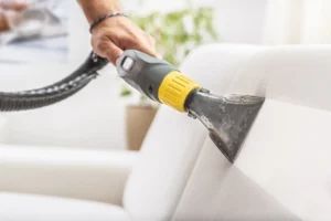 cleaning professional cleaning a sofa with a vacuum cleaner